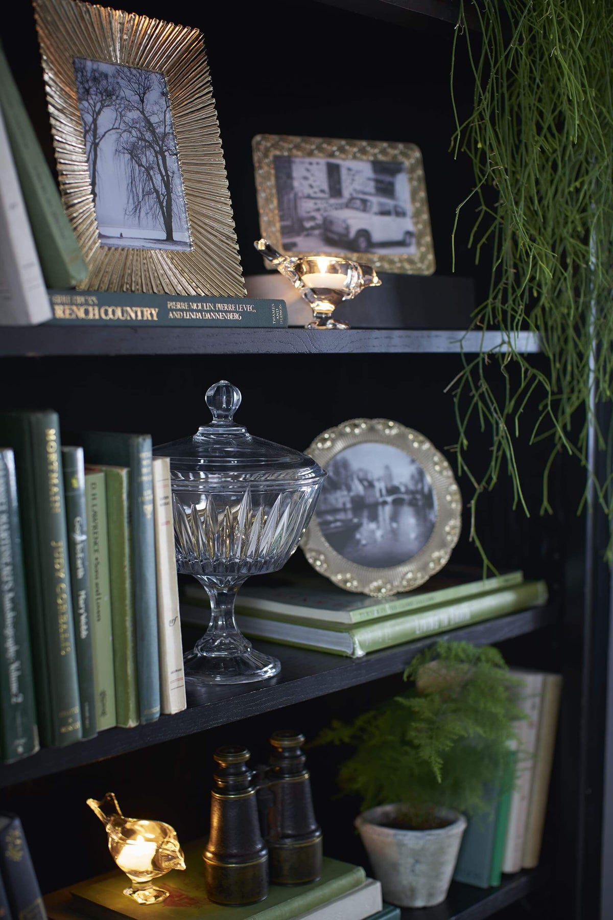 Henshaw 2 Drawer Double Bookcase